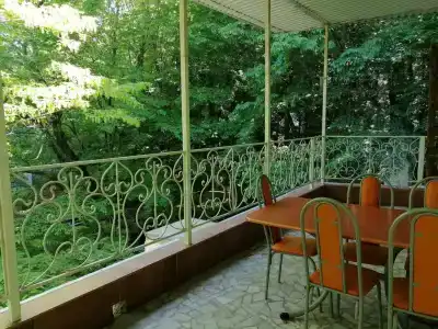 Примула - 69