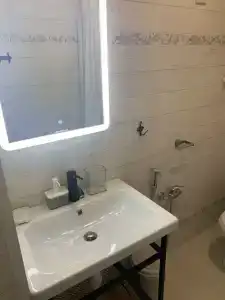 Примула - 102