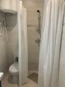 Примула - 103