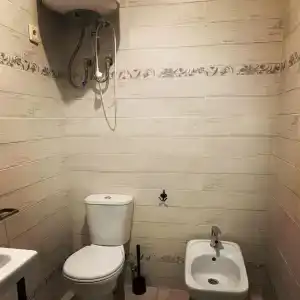 Примула - 111