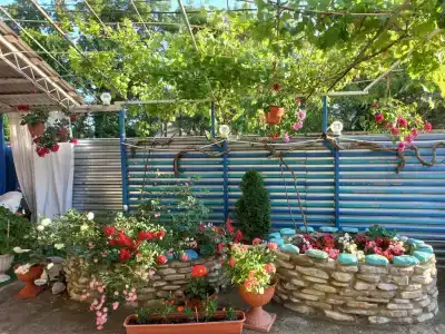 Нейва - 84