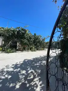 Guest House Paradise - 3