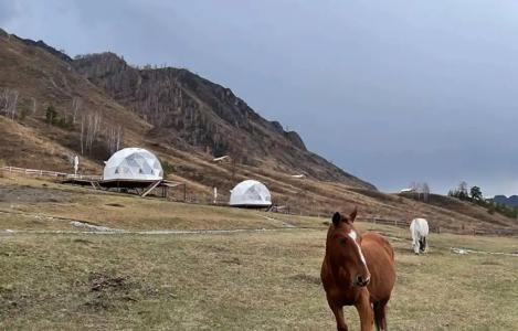 Cloud Park Altay - 0