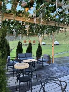 Cloud Park Altay - 9
