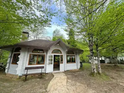 Black Rock Garden - 6