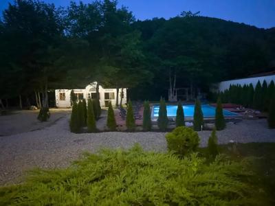 Black Rock Garden - 7