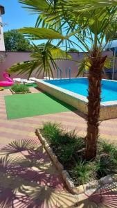 У Луизы - 7