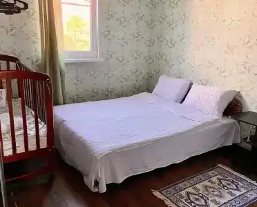 Сваруп Дом - 20