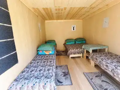 Кедровый берег - 31