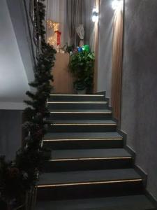 Rixotel - 13