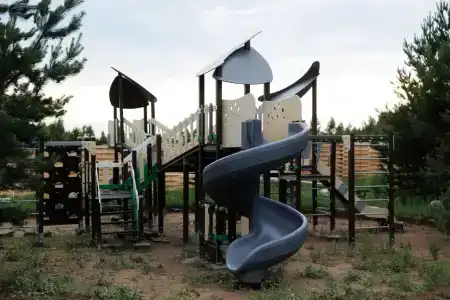 Хвоя - 3