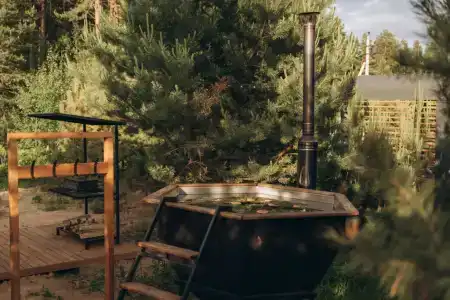 Хвоя - 1