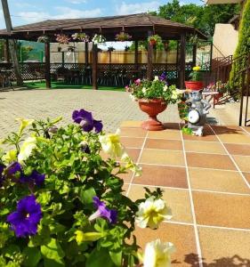 Маленькая Италия - 8