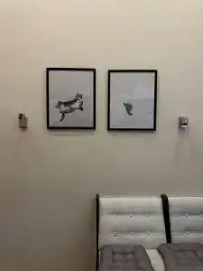 Мини-отель на Макарова 22 - 8