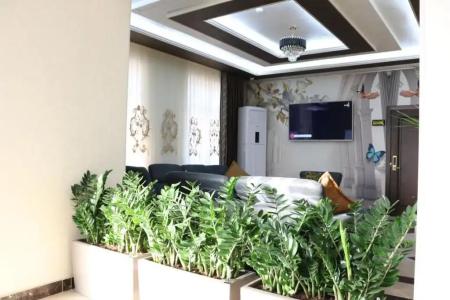 Marhabo Palace - 5