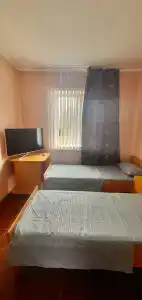 Киви - 4
