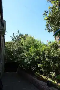 ул. Джелия 4 - 124