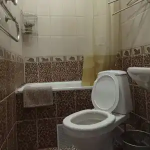 Лотос - 30
