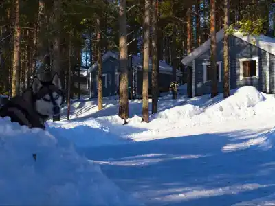 Велт - 184