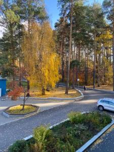 Родничок - 1