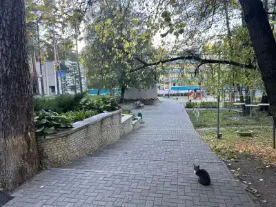 Родничок - 3
