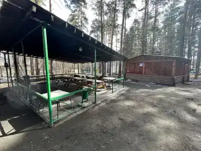 Родничок - 6