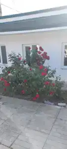 Гостевой дом на Ясной - 4