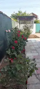 Гостевой дом на Ясной - 3