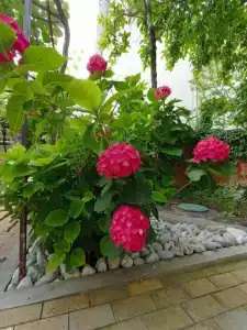 Море рядом - 4