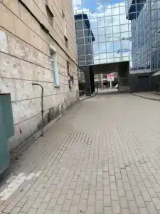 Ветер в ивах - 1
