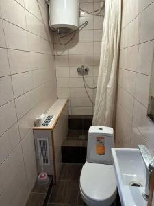 Светлана - 2