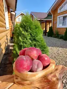 Kuchugury_village - 15