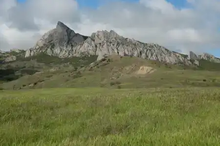 Монталь - 9