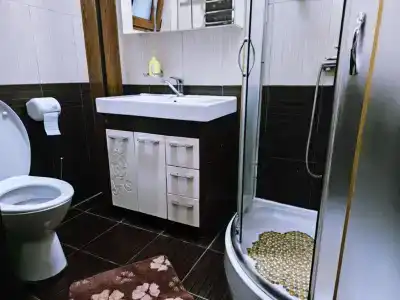 Кипарис - 24