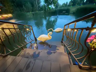 Загородный комплекс Green Club family - 15