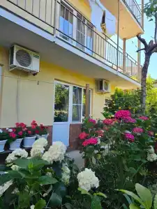 Любимый дворик - 57