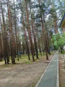 Дружба-Ямал - 4