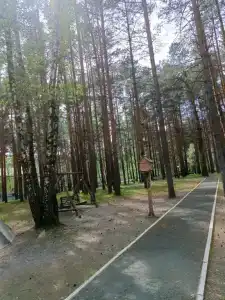Дружба-Ямал - 5
