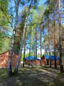 Дружба-Ямал - 10