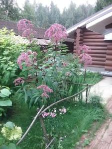 Green Forest ecoclub - 39