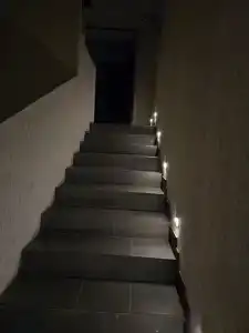 Плюшкин двор - 1