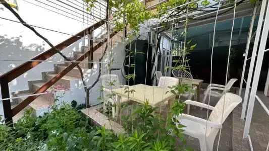 Александрия малая - 5