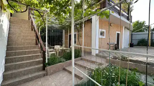 Александрия малая - 6