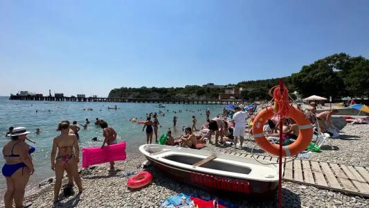 Александрия малая - 17