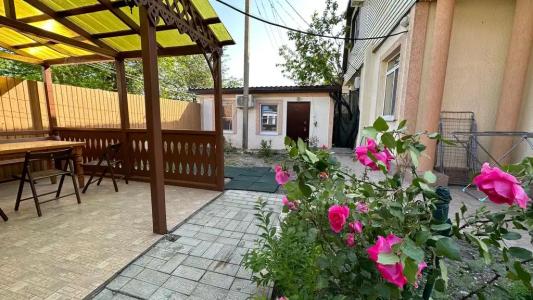 Александрия малая - 14