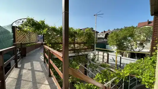 Александрия малая - 4