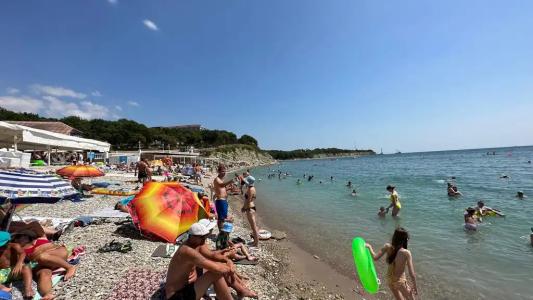 Александрия малая - 18