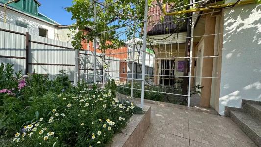 Александрия малая - 7