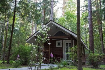 Green Forest ecoclub - 50