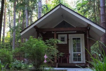 Green Forest ecoclub - 52